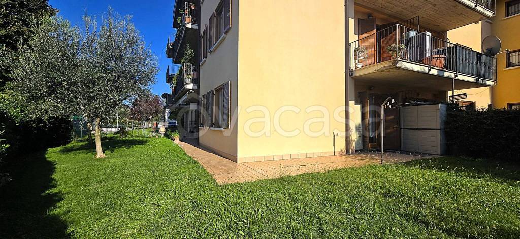 immagine annuncio 11 di 15