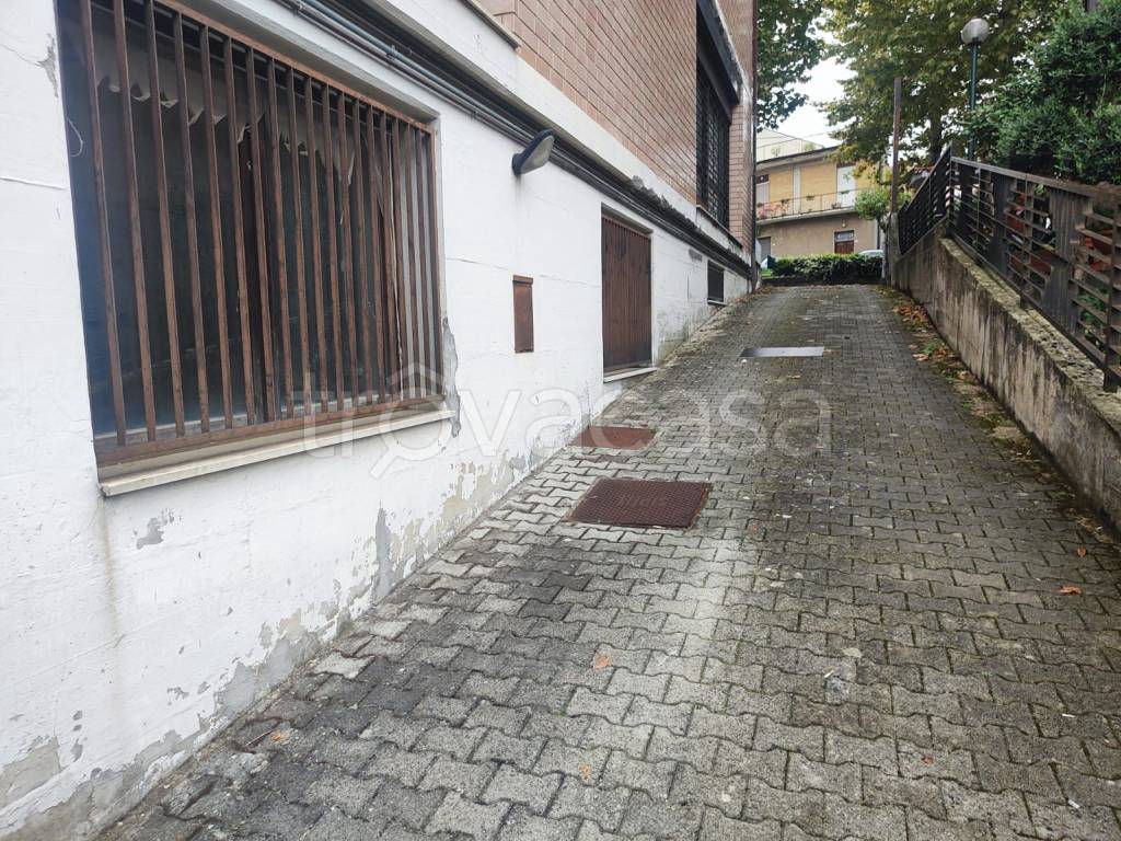 immagine annuncio 2 di 13