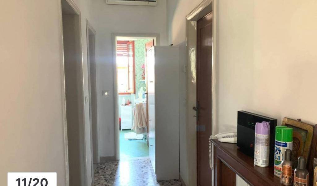 immagine annuncio 10 di 14