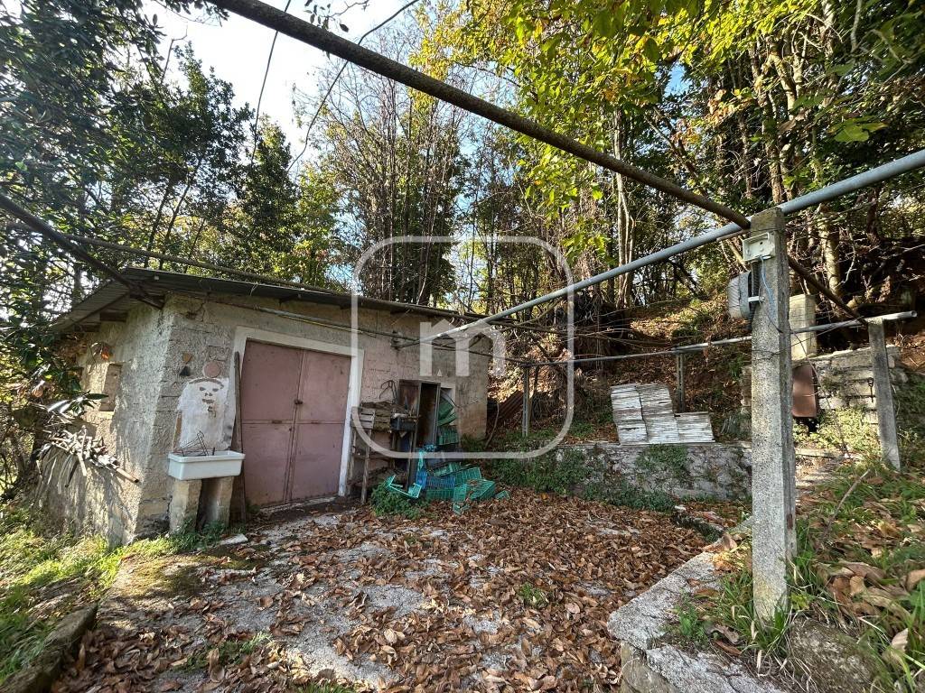 immagine annuncio 5 di 11