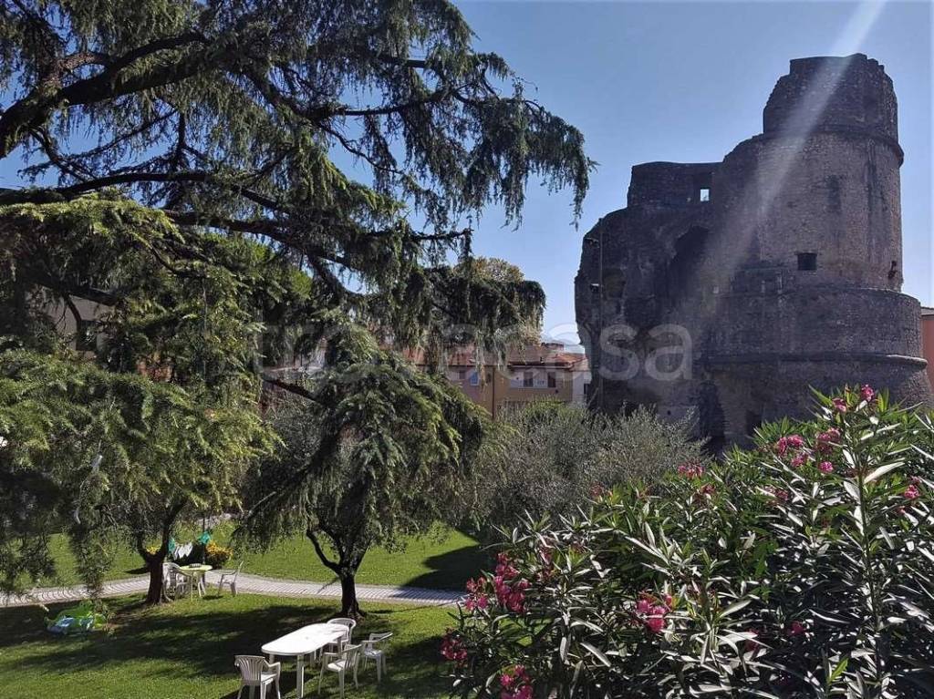 immagine annuncio 11 di 15