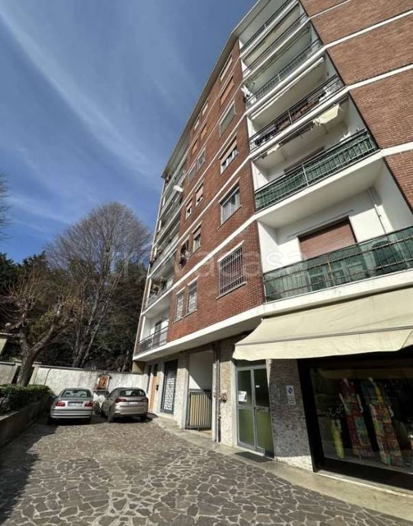 immagine annuncio 1 di 12