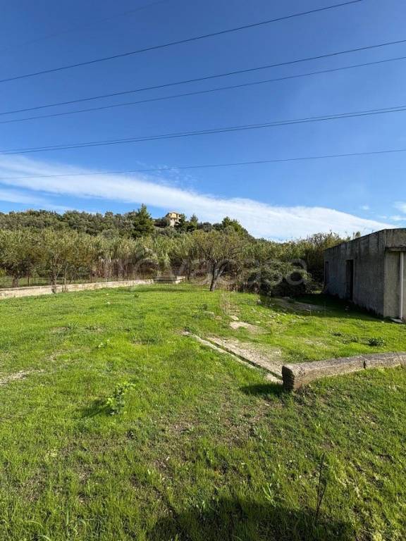 immagine annuncio 6 di 11