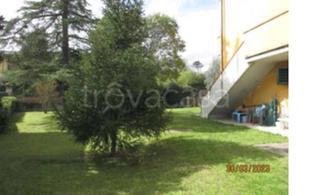 immagine annuncio 3 di 11