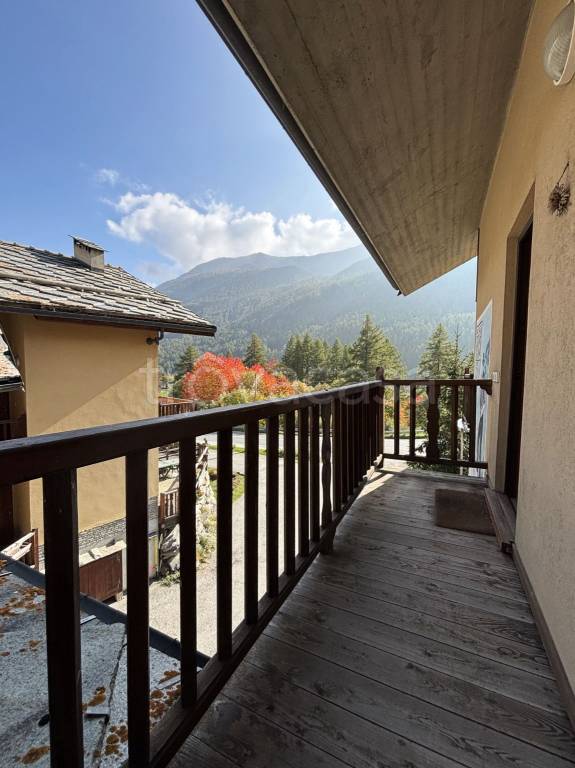 immagine annuncio 13 di 14