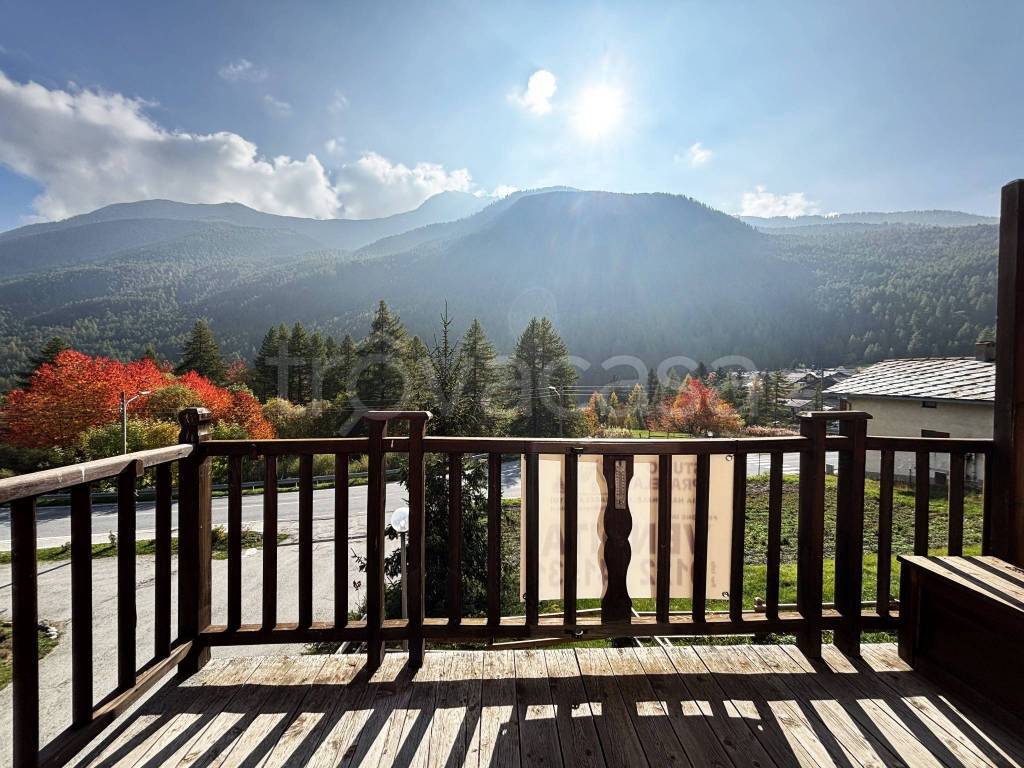 immagine annuncio 11 di 14