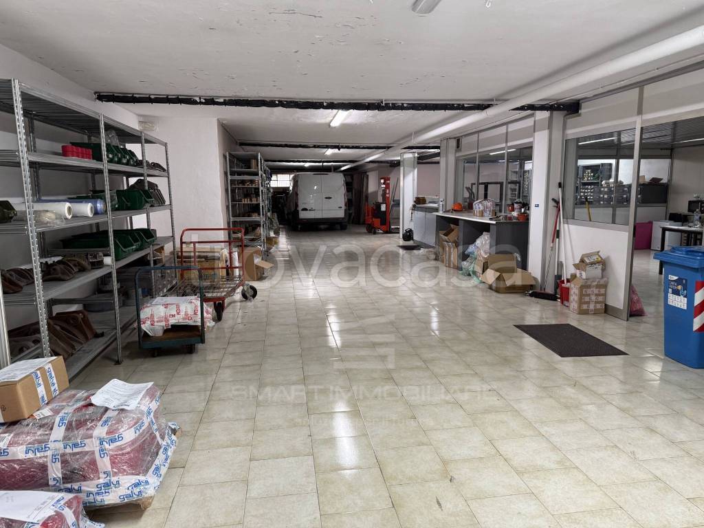 immagine annuncio 6 di 15