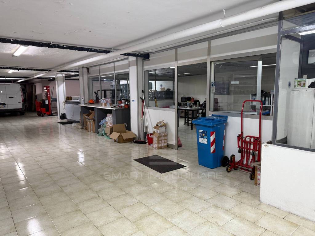 immagine annuncio 7 di 15