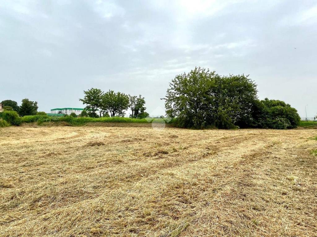 immagine annuncio 2 di 12