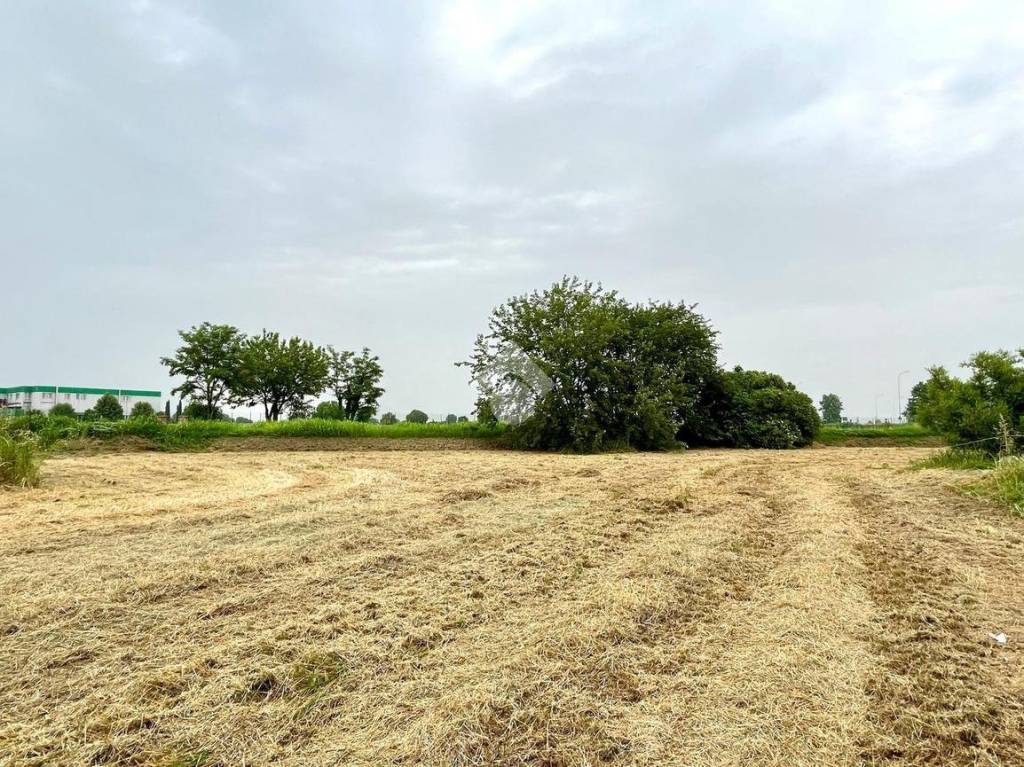 immagine annuncio 7 di 12