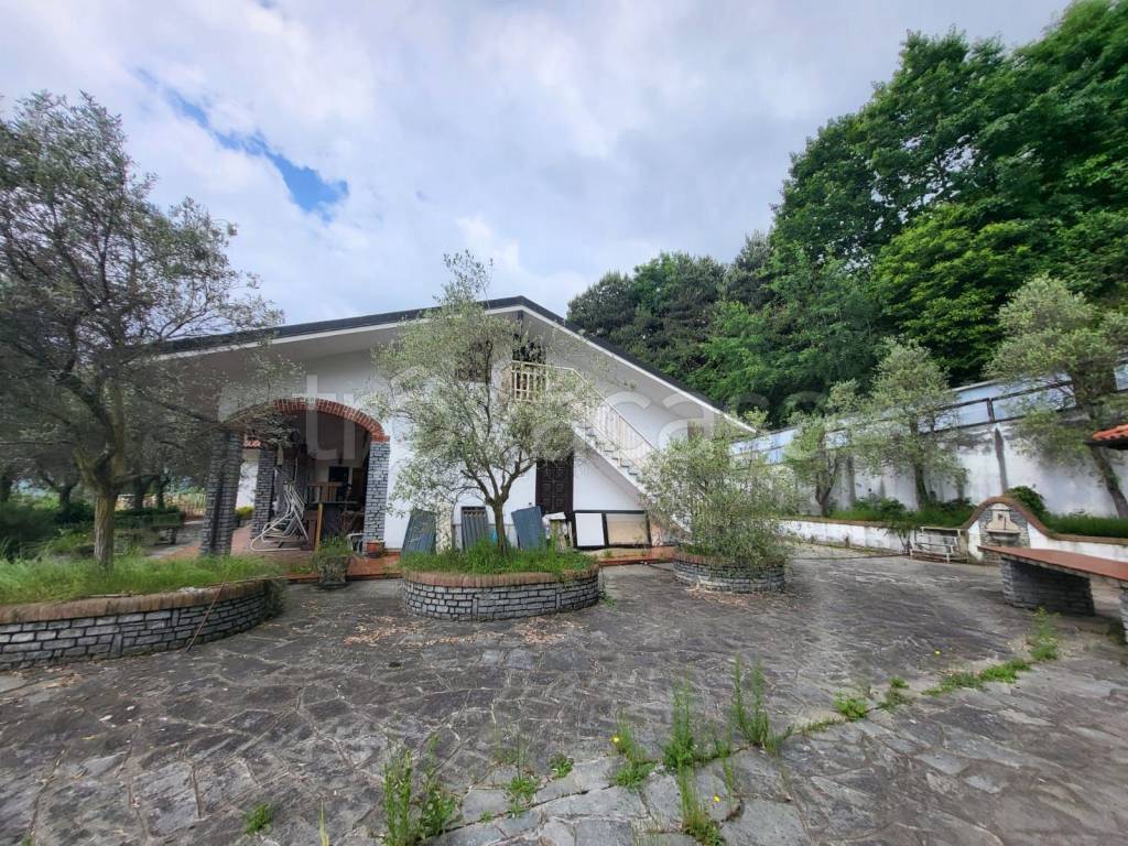 immagine annuncio 2 di 9