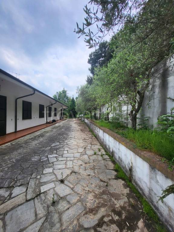 immagine annuncio 5 di 9