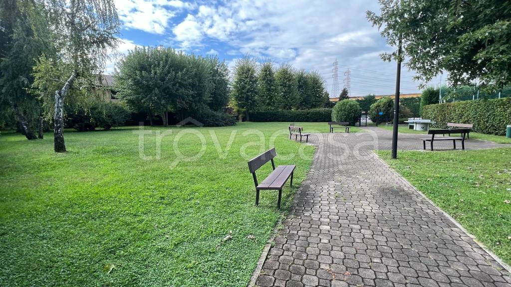 immagine annuncio 8 di 15