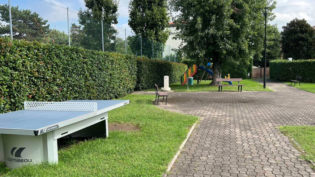 immagine annuncio 4 di 15