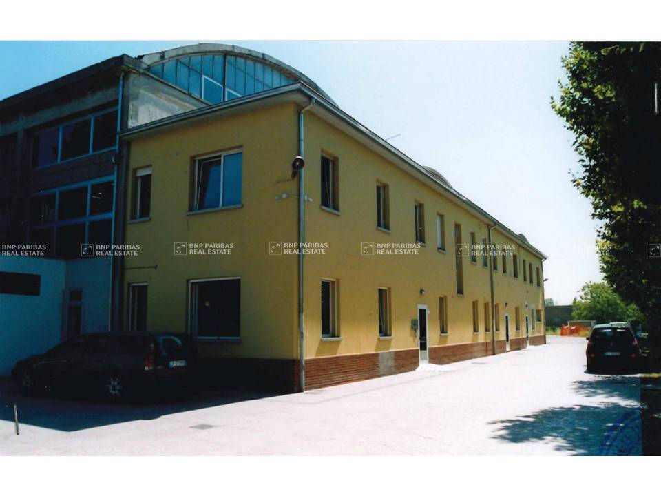 immagine annuncio 3 di 7