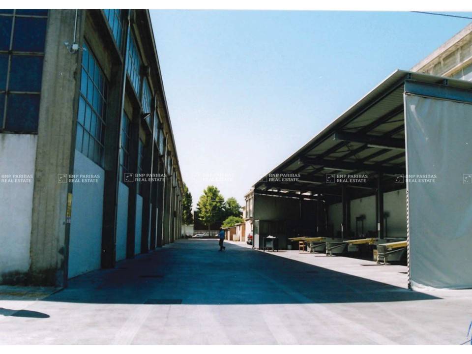 immagine annuncio 5 di 7