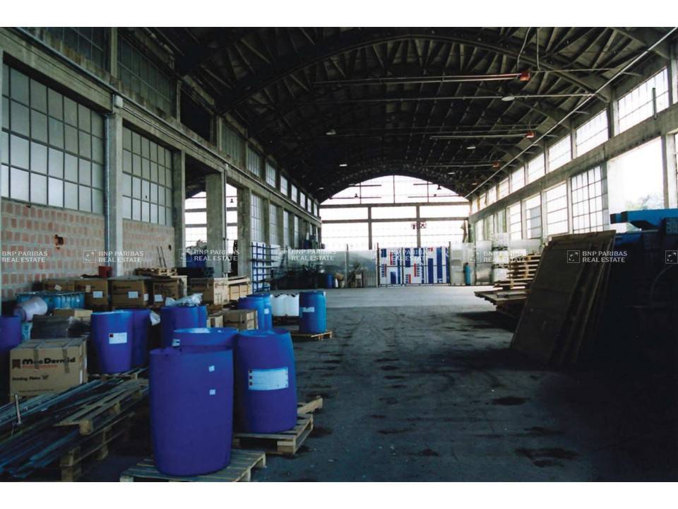 immagine annuncio 6 di 7