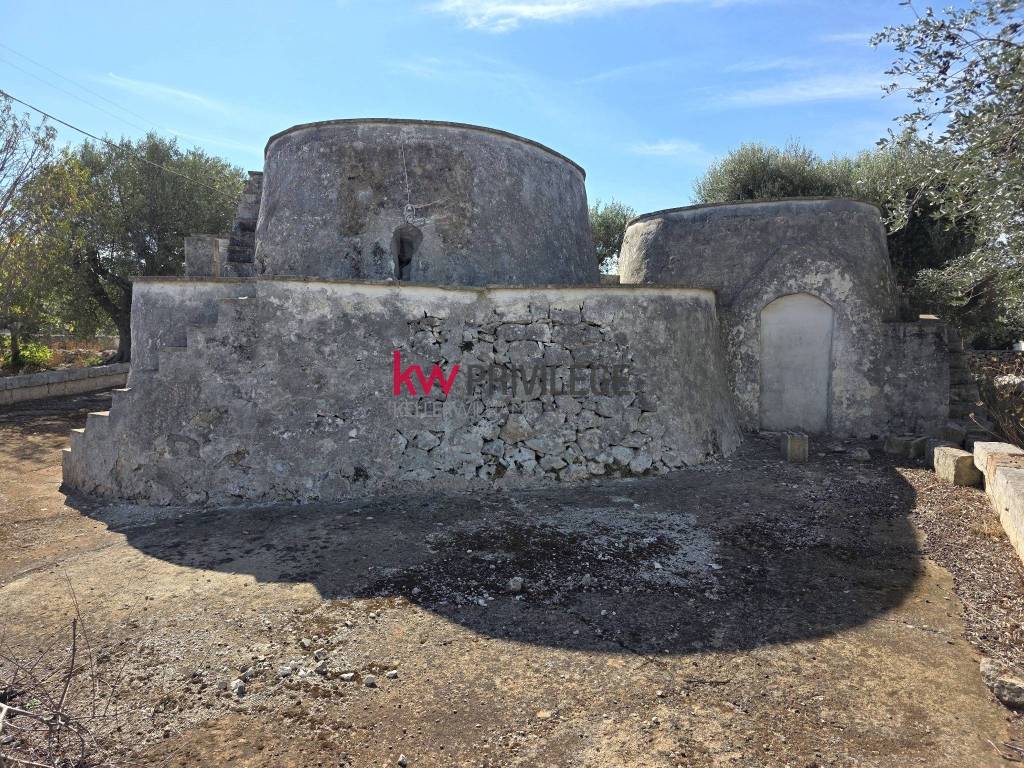 immagine annuncio 12 di 14