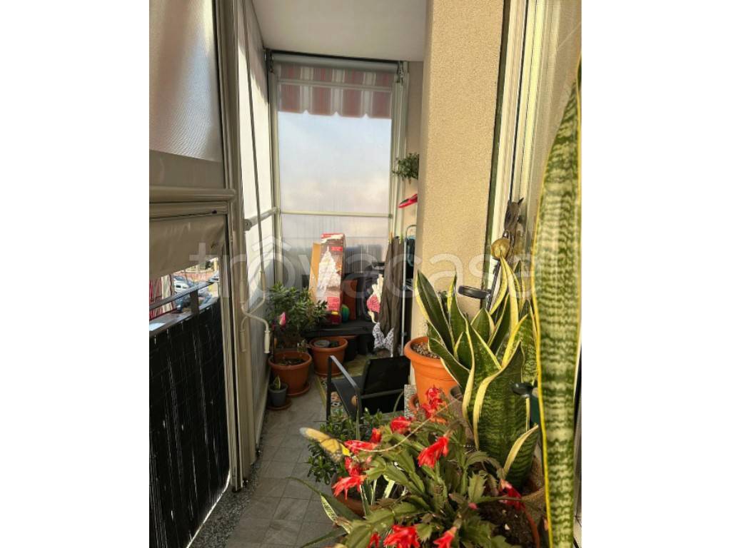 immagine annuncio 10 di 12