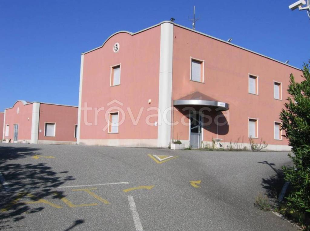 immagine annuncio 10 di 15