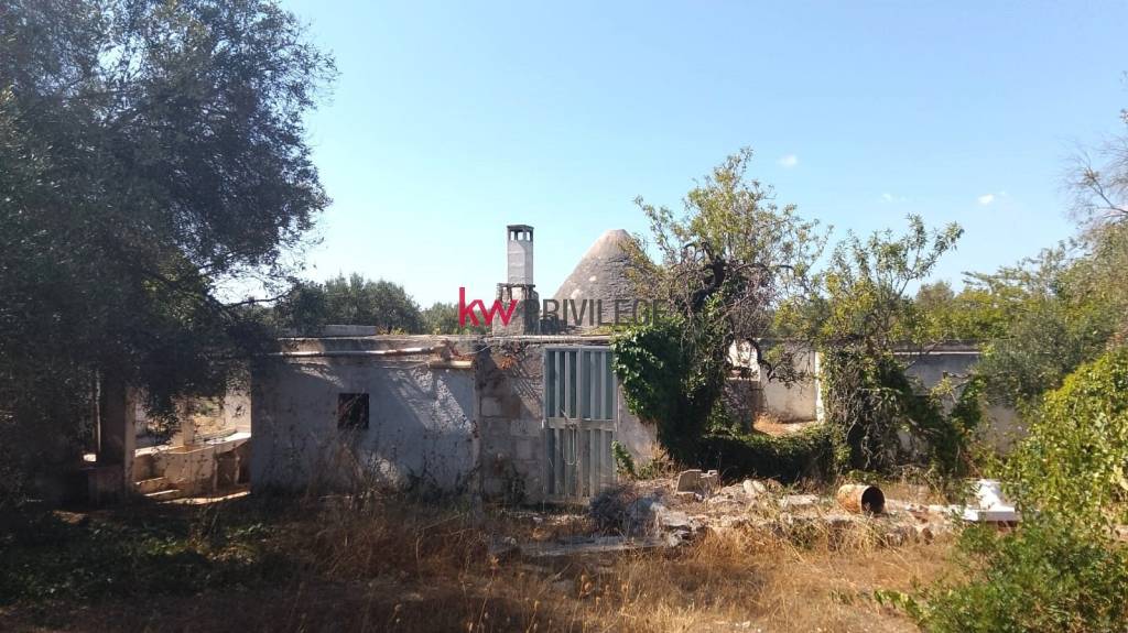 immagine annuncio 12 di 13