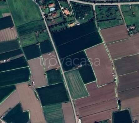 immagine annuncio 12 di 14