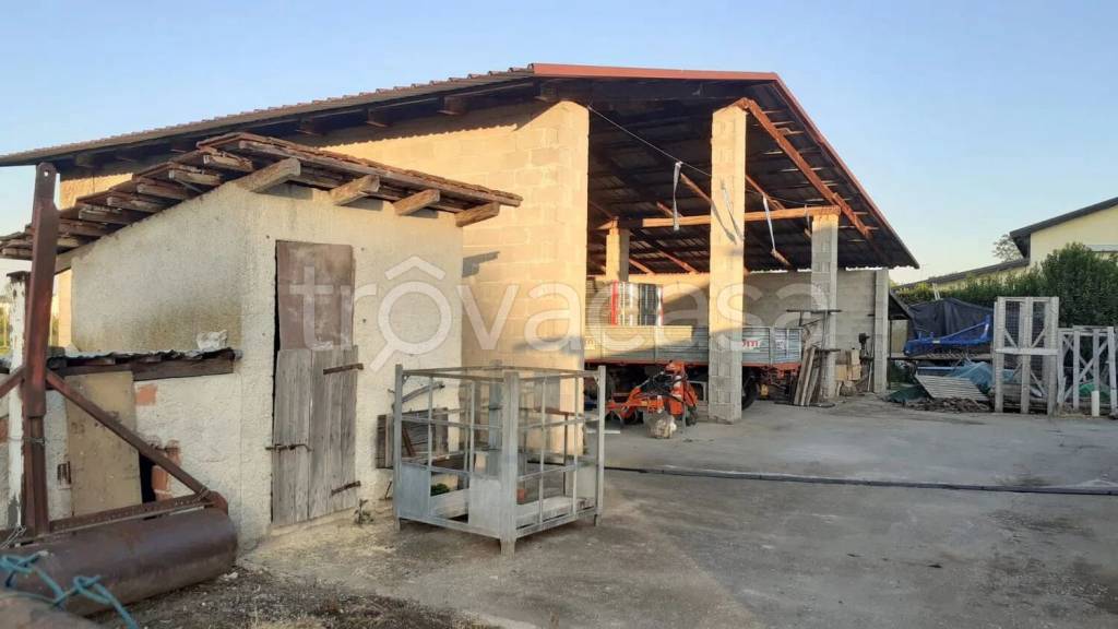 immagine annuncio 5 di 11