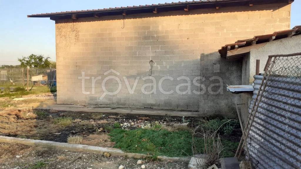 immagine annuncio 6 di 11