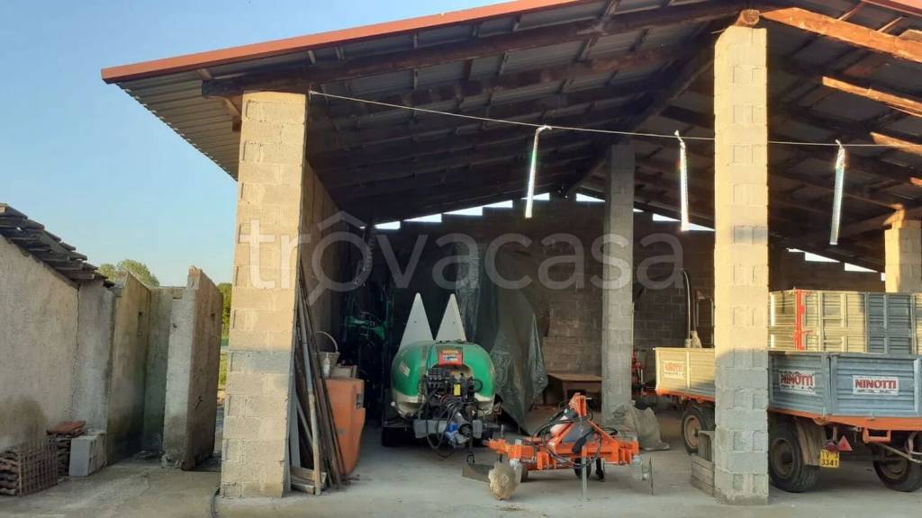 immagine annuncio 7 di 11