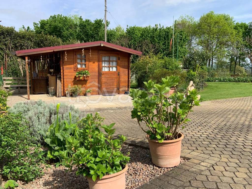 immagine annuncio 11 di 15