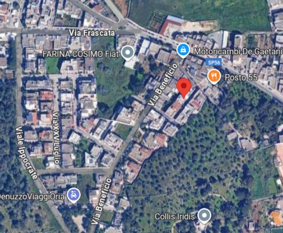 immagine annuncio 1 di 13