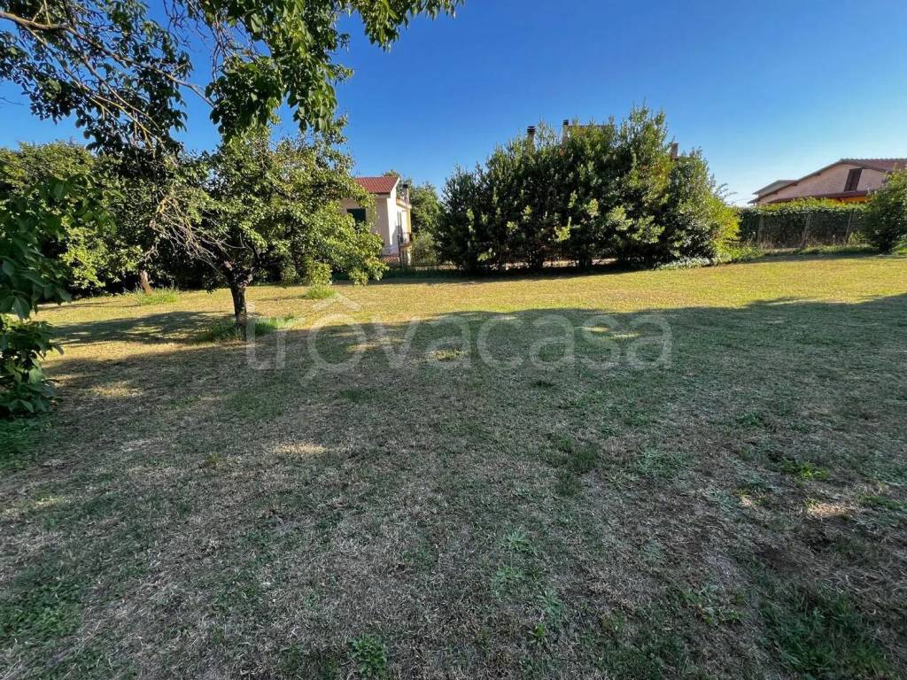 immagine annuncio 1 di 6