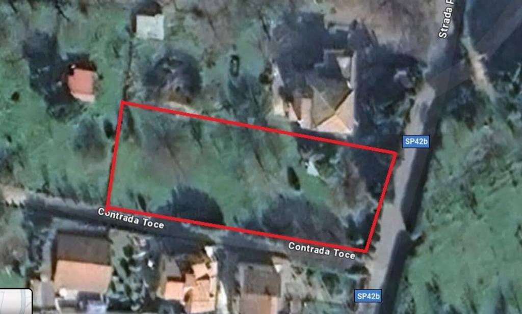 immagine annuncio 5 di 6