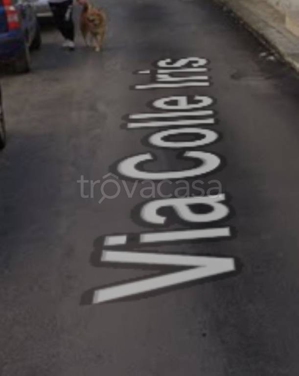 immagine annuncio 9 di 13