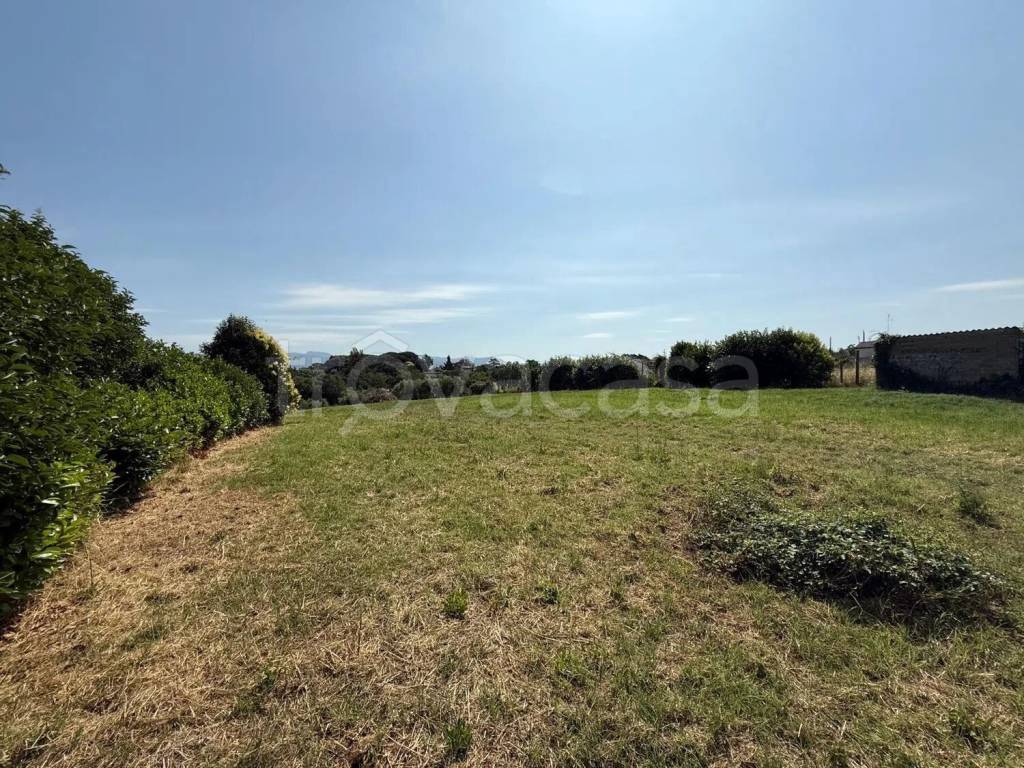 immagine annuncio 1 di 6