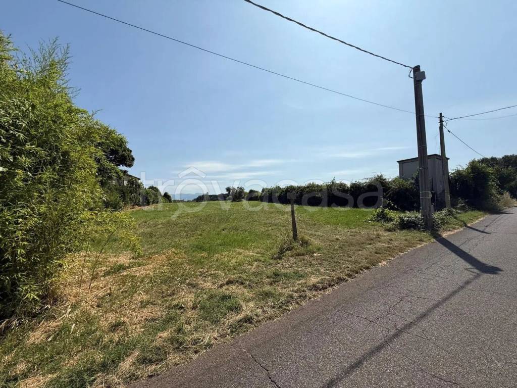 immagine annuncio 2 di 6