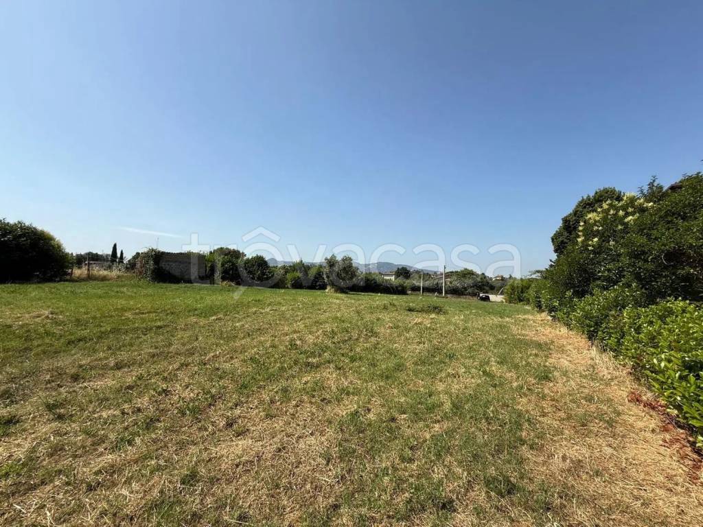 immagine annuncio 3 di 6