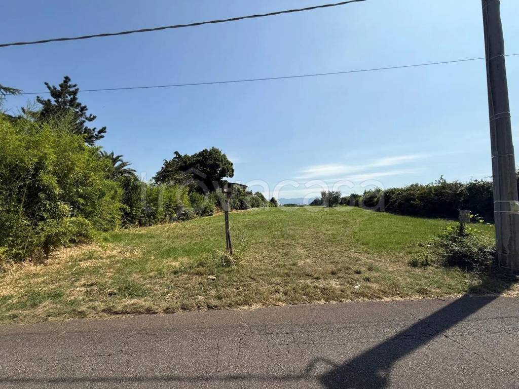 immagine annuncio 4 di 6