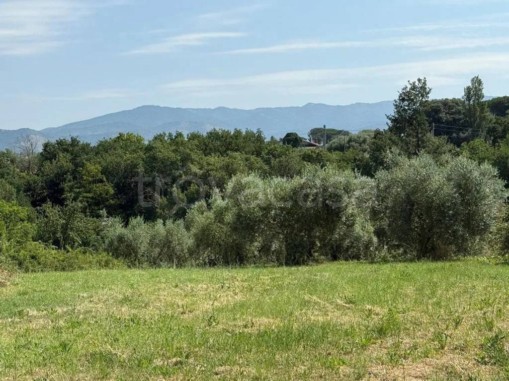 immagine annuncio 5 di 6