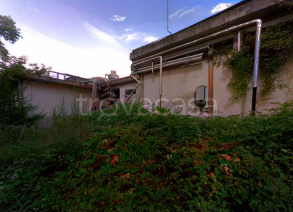 immagine annuncio 9 di 13