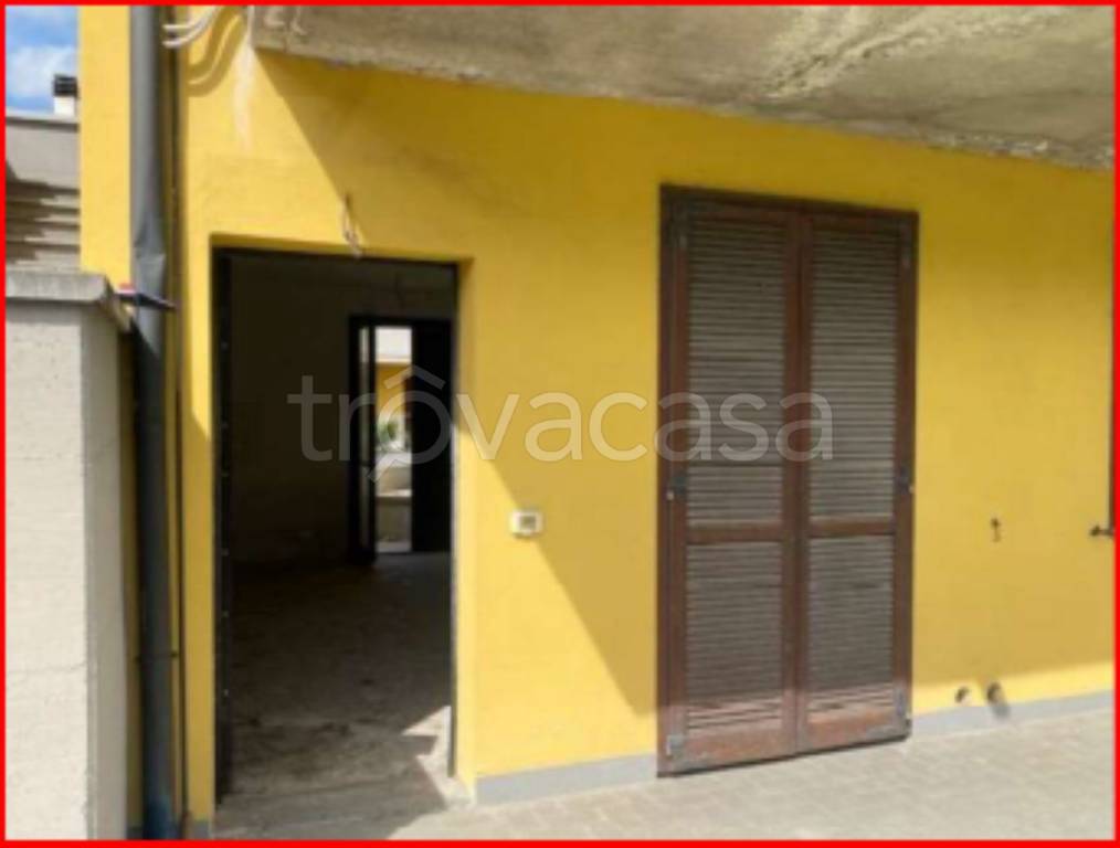 immagine annuncio 3 di 12