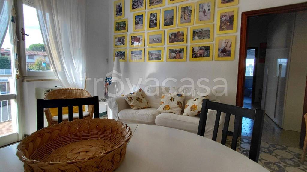 immagine annuncio 2 di 14