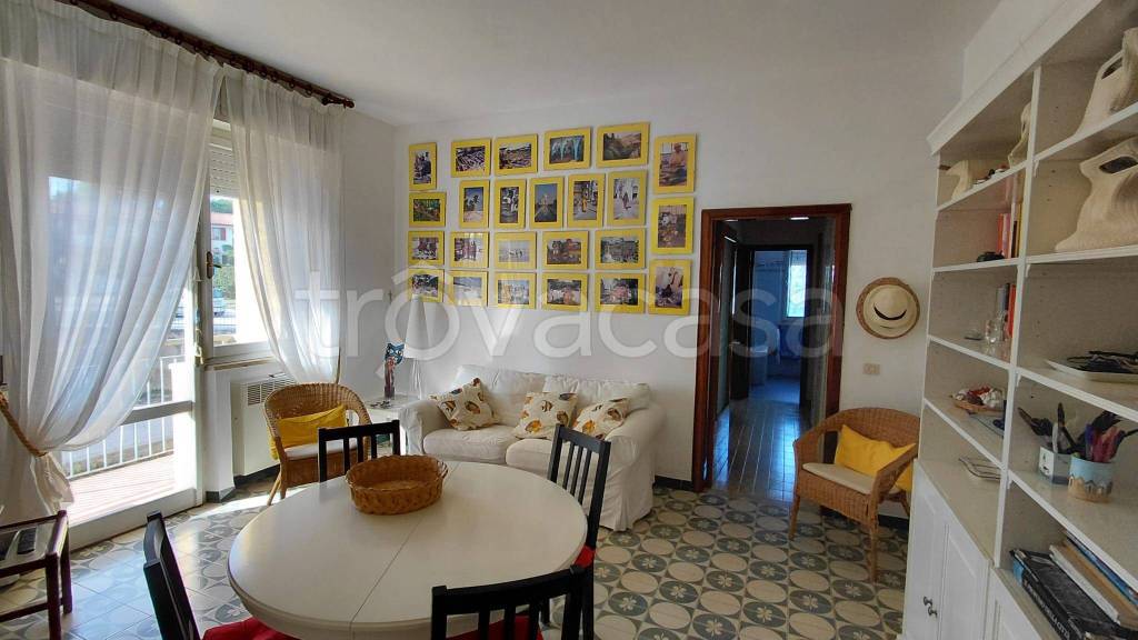 immagine annuncio 9 di 14