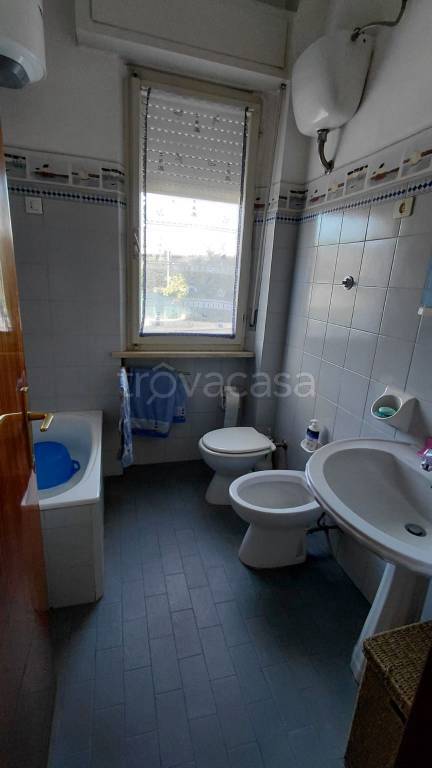 immagine annuncio 12 di 14