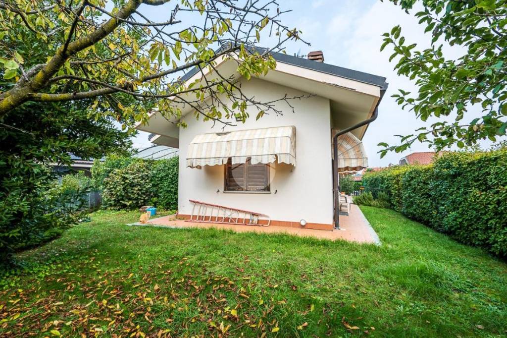 immagine annuncio 3 di 12