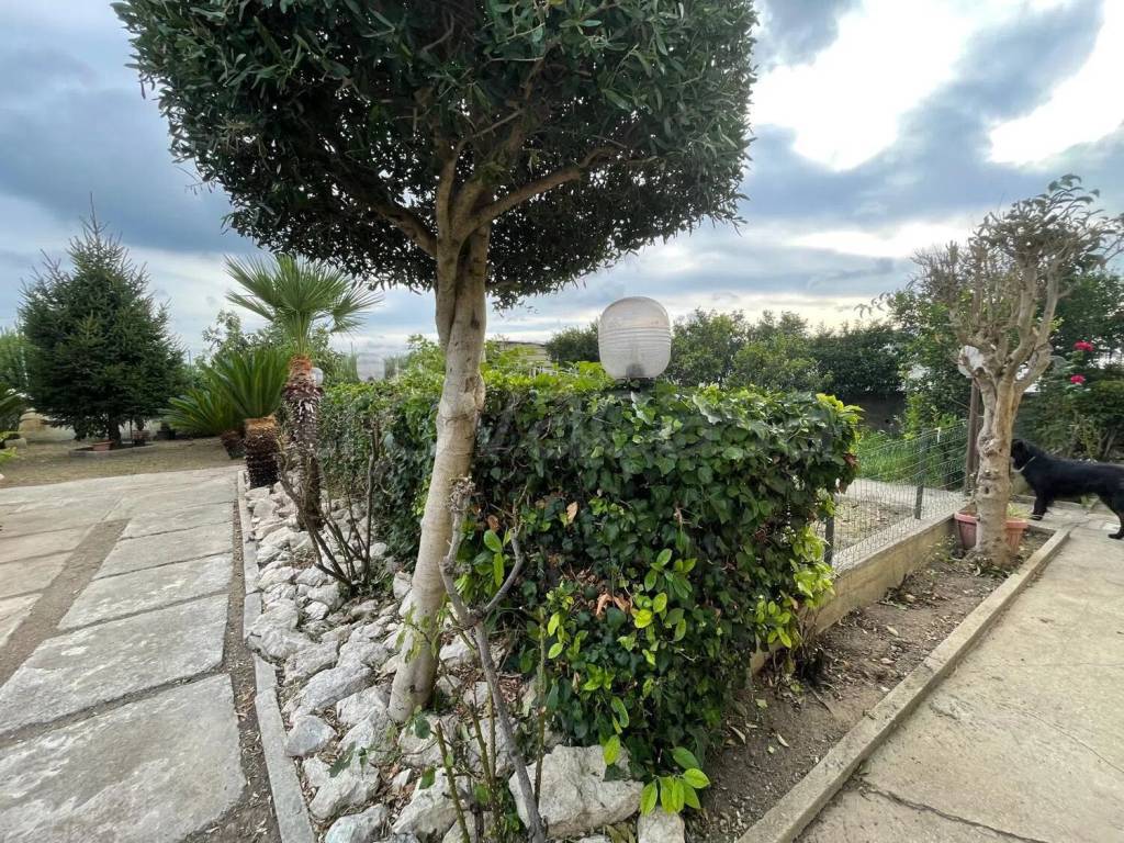 immagine annuncio 1 di 14