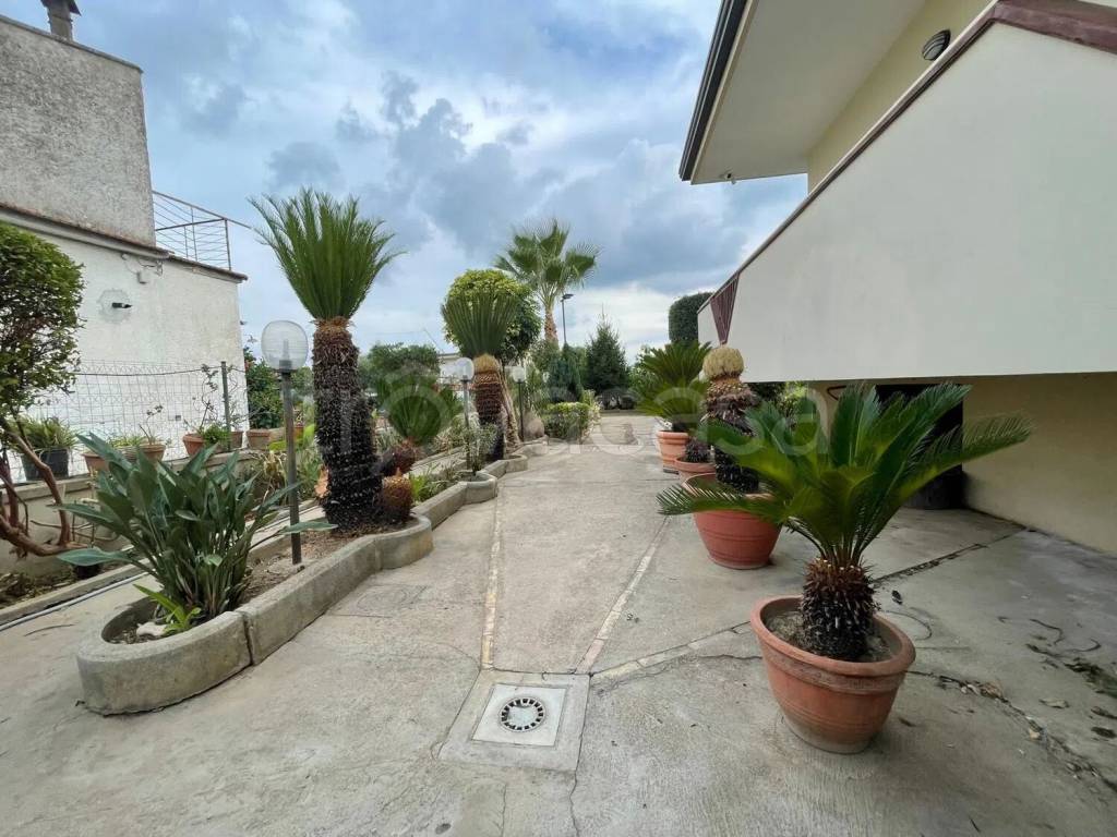 immagine annuncio 2 di 14