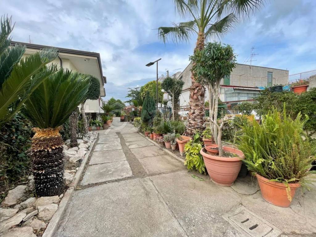 immagine annuncio 4 di 14