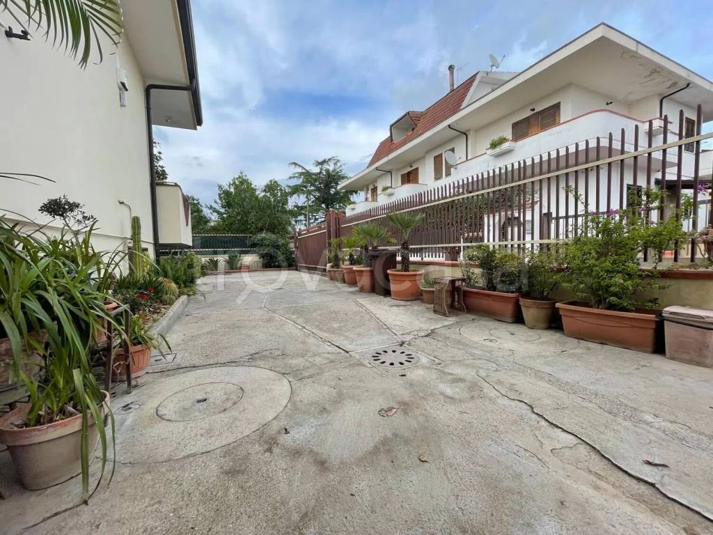 immagine annuncio 7 di 14