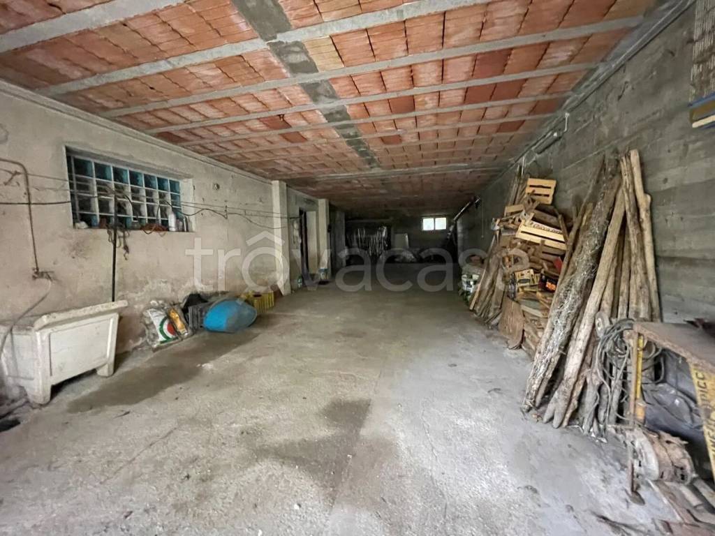 immagine annuncio 13 di 14